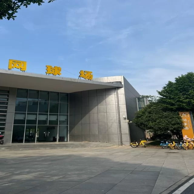 乒乓球冠军竞争格局洞察：第403组数据深度解析